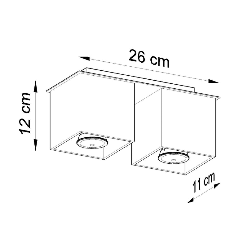 Plafondlamp QUAD 2 zwart