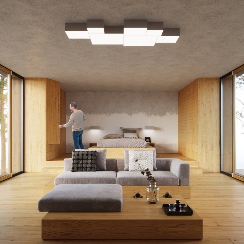 HORUS gray ceiling light