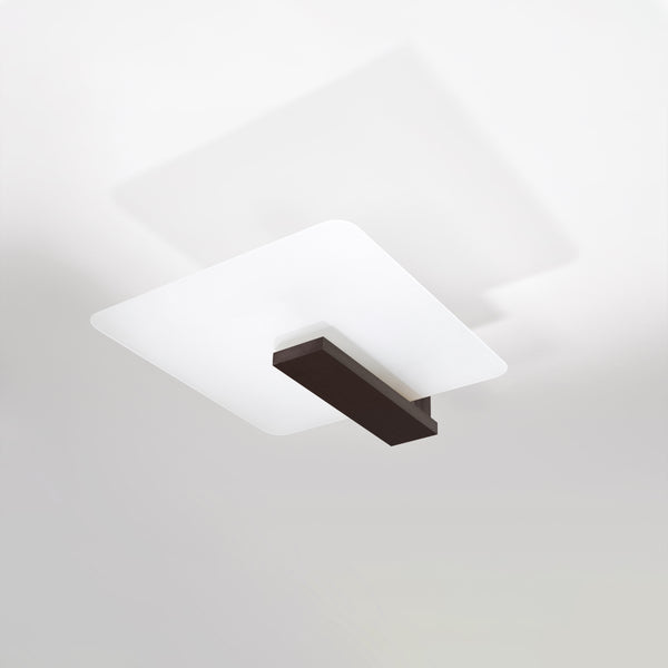 LAPPO wenge ceiling light