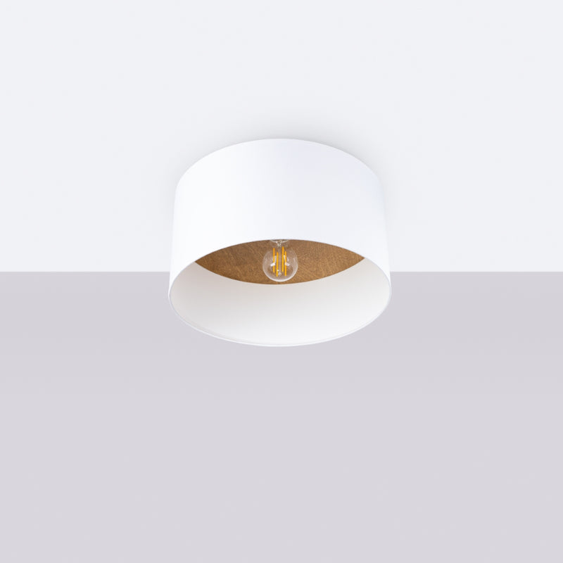 Ceiling TELESTO White/Light Brown