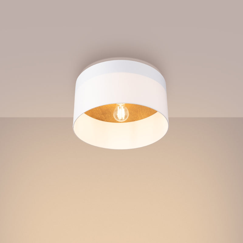 Ceiling TELESTO White/Light Brown