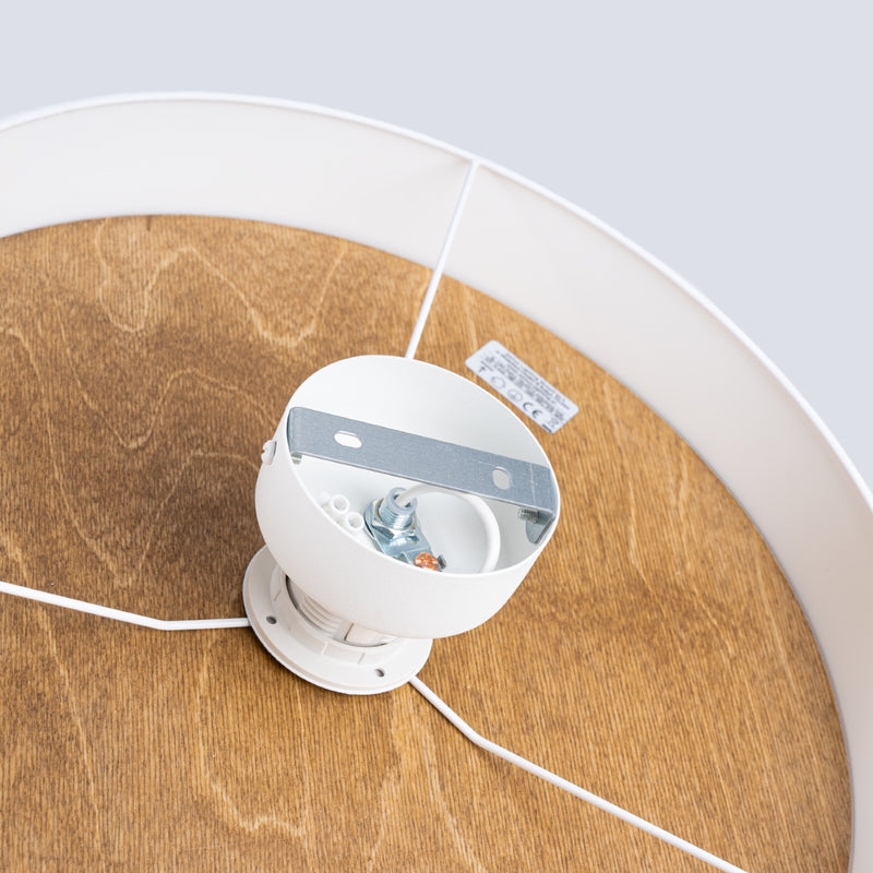 Ceiling TELESTO White/Light Brown