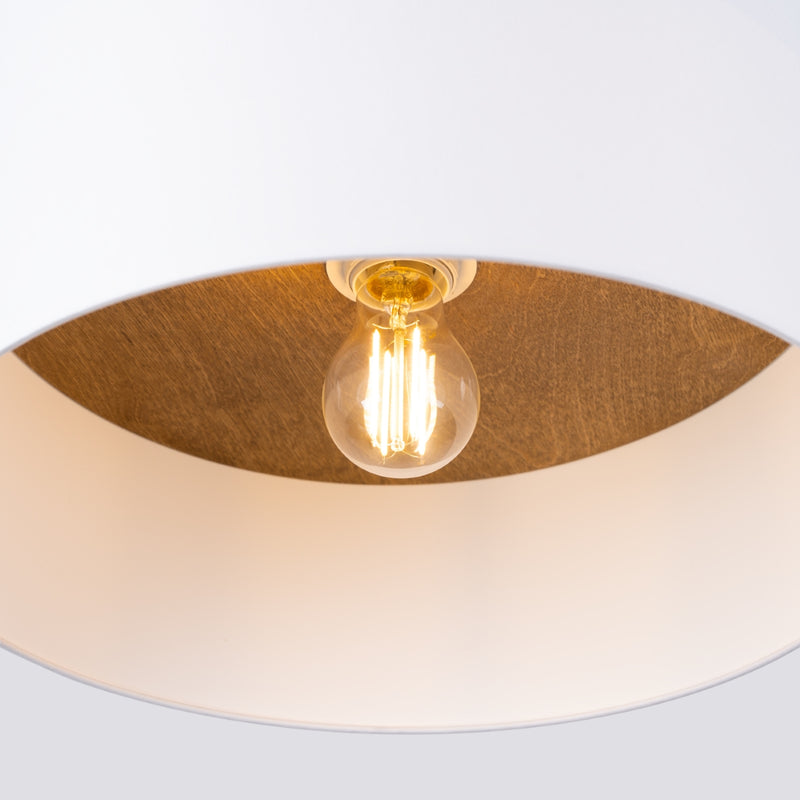 Ceiling TELESTO White/Light Brown