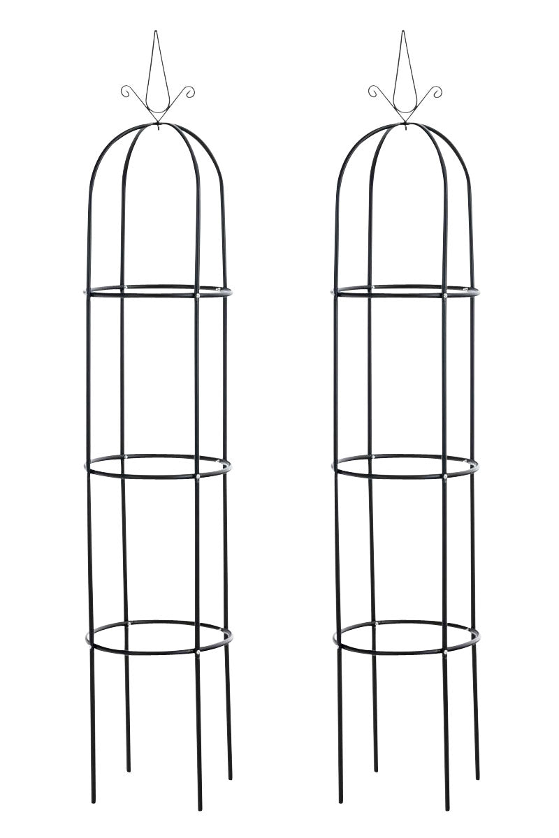 Rose Column Romantika V2