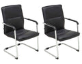 Set of 2 visitor chairs Seattle