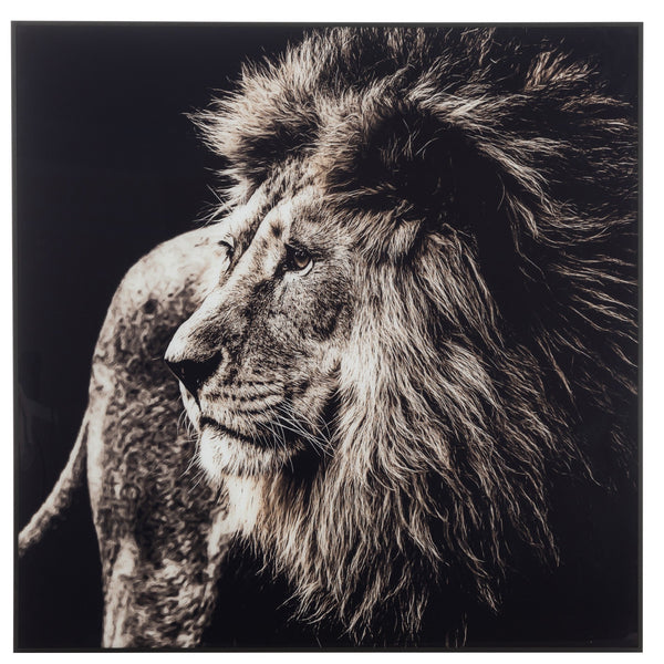 Wall decoration lion - glass and aluminum frame - impressive picture in black and white - majestic animal art for modern living spaces