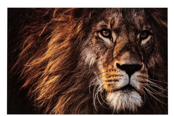 XXL wanddecoratie leeuw - gehard glas in bruin - majestueuze en expressieve kunst voor dierenliefhebbers en moderne woonruimtes