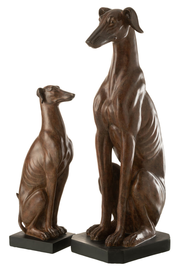 Realistische Greyhound sculptuur, polyresin, bruin - verkrijgbaar in twee maten