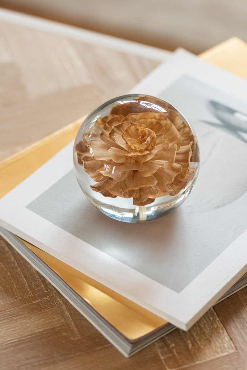 Set of 2 Press Paper Flower Glass Brown Paperweights - Decorative Home &amp; Office Accessory