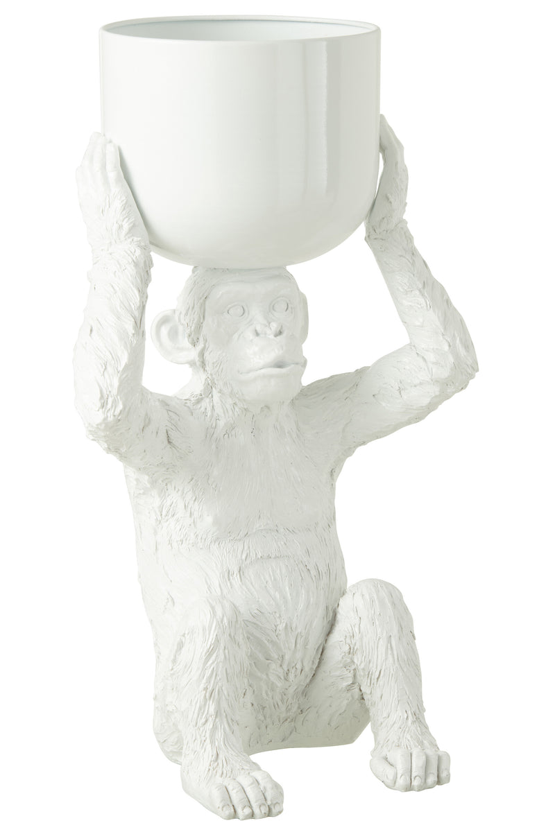 Sitting monkey with bucket on his head, poly, white or orange - decorative and original sculpture