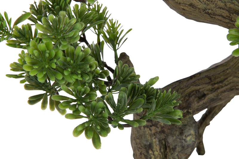 Artificial Podocarpus Bonsai - Lifelike green plant for home and office decoration