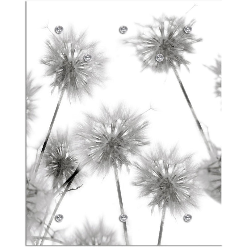 Garderobe - Dandelion