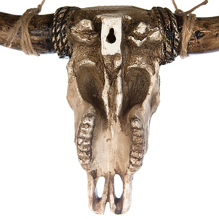Exclusive Poly Wall Mounted Buffalo - Contemporary design with antique finish and rope accents