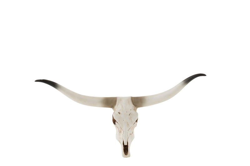 Cattle skull in white for wall decoration – 50x22 cm Nature-inspired art object