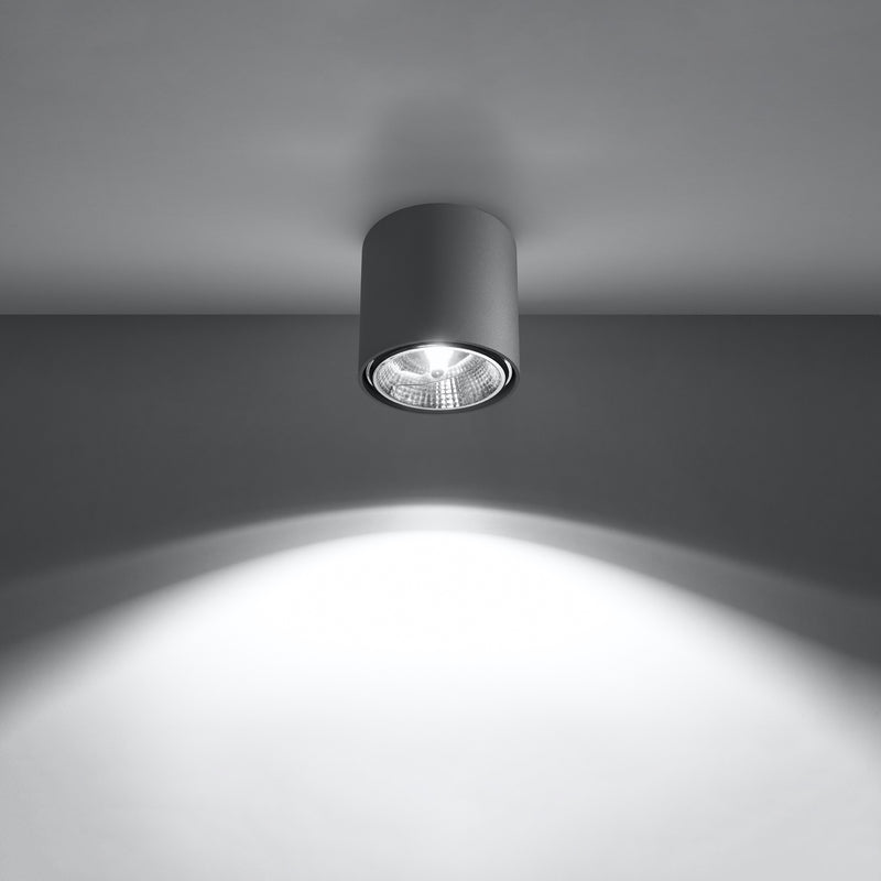 TIUBE gray ceiling light