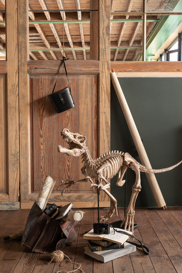 Add prehistoric flair to your home with this handmade tan poly Raptor dinosaur sculpture