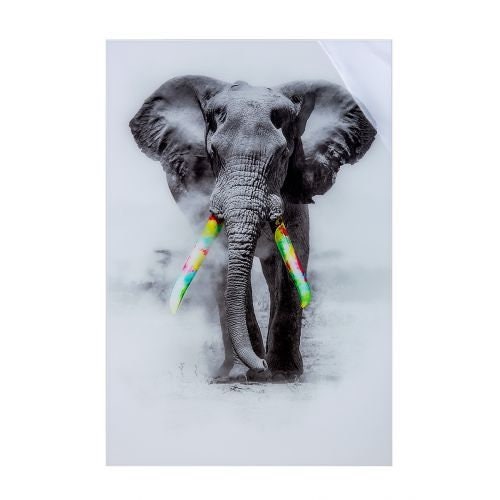 Acryl foto olifant "YUMO" grijs/wit met kleurrijke slagtanden, met hoogwaardig aluminium frame om op te hangen hoogte 120cm wanddecoratie muurschildering