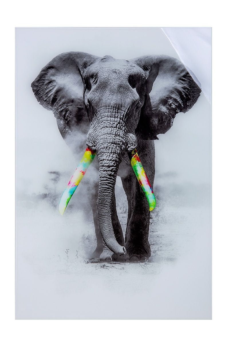 Acrylic picture elephant "YUMO" grey/white with colorful tusks, with high-quality aluminum frame for hanging height 120cm wall decoration mural